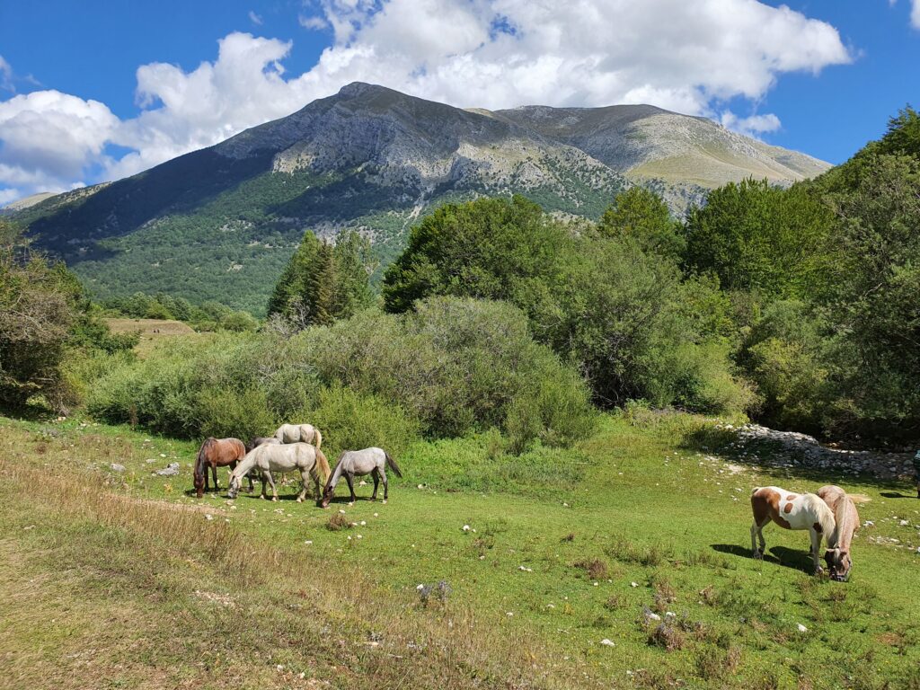 Val Fondillo, Parco Nazionale d'Abruzzo